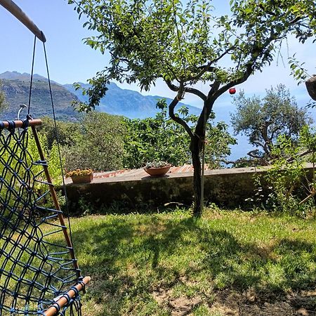 Amalfi Coast, Positano, Sorrento, Capri, Garden, Villa Carcara Colli di Fontanelle Exterior photo