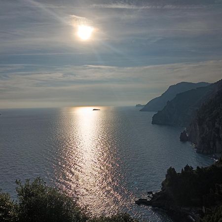 Amalfi Coast, Positano, Sorrento, Capri, Garden, Villa Carcara Colli di Fontanelle Exterior photo