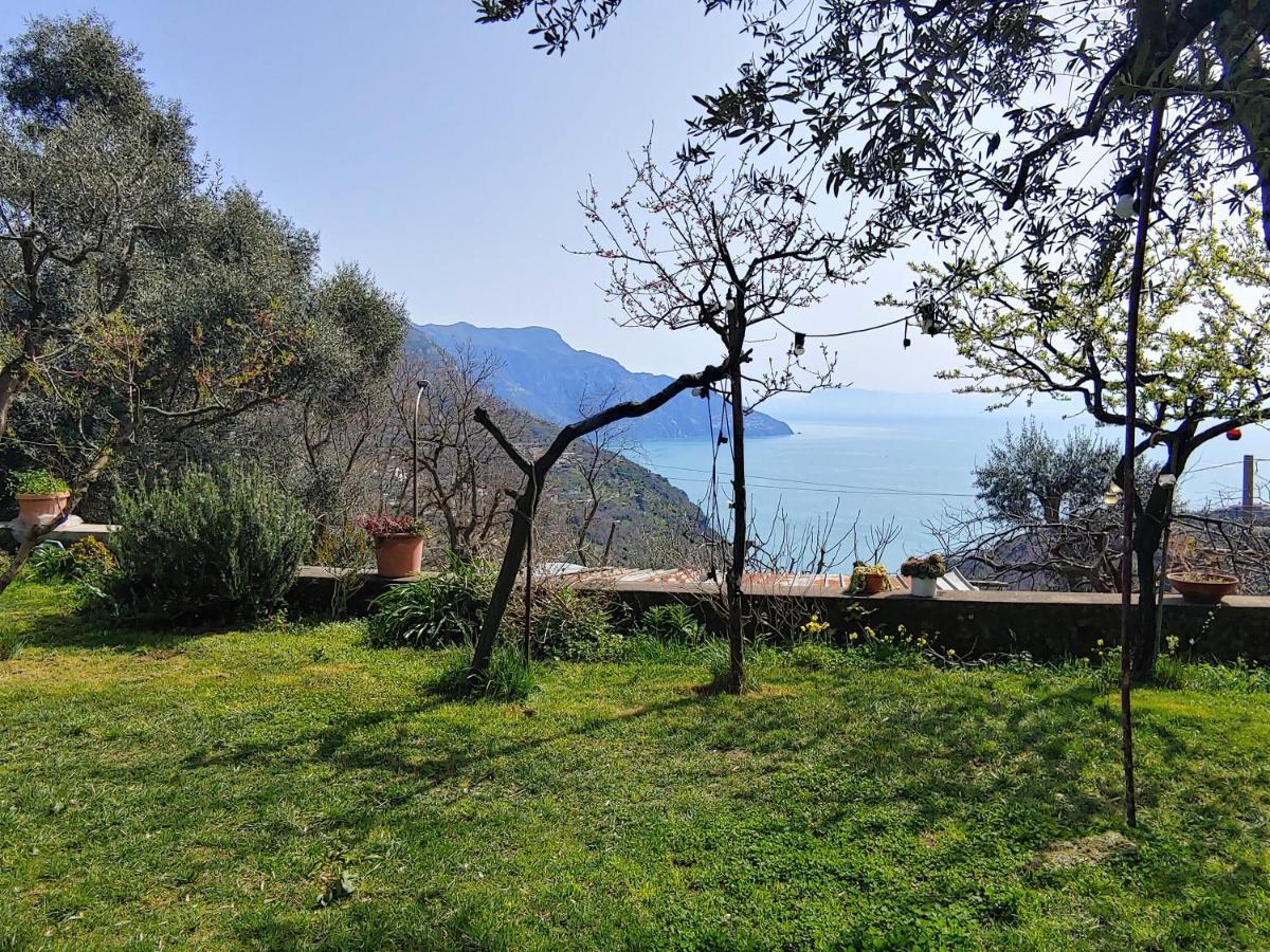 Amalfi Coast, Positano, Sorrento, Capri, Garden, Villa Carcara Colli di Fontanelle Exterior photo