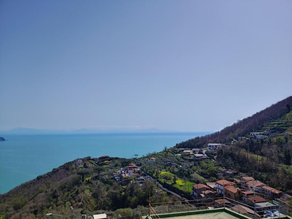 Amalfi Coast, Positano, Sorrento, Capri, Garden, Villa Carcara Colli di Fontanelle Exterior photo