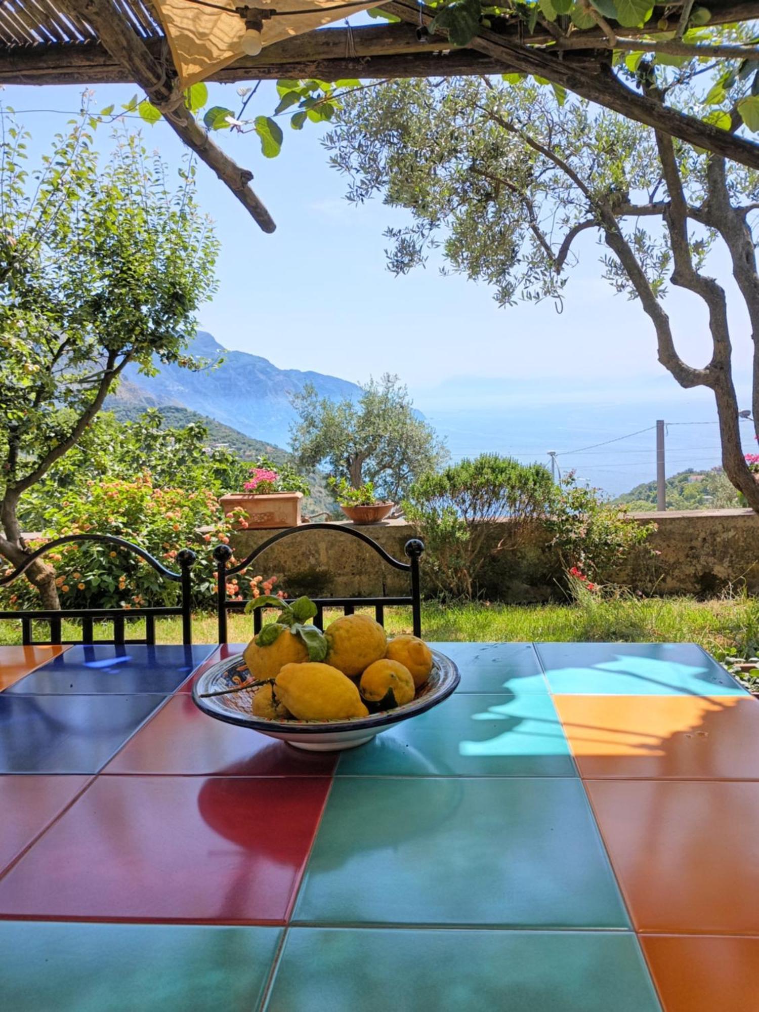 Amalfi Coast, Positano, Sorrento, Capri, Garden, Villa Carcara Colli di Fontanelle Exterior photo