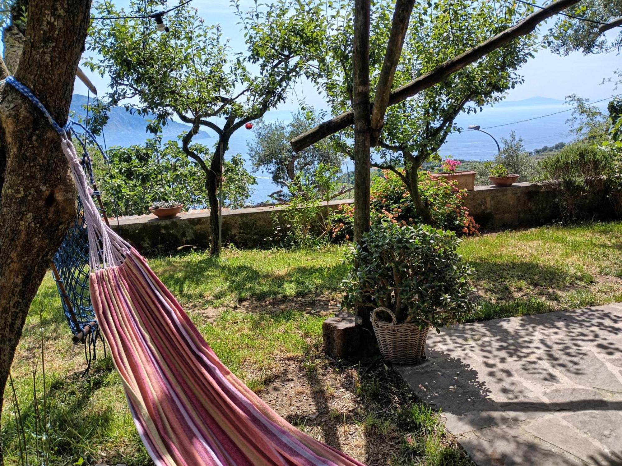 Amalfi Coast, Positano, Sorrento, Capri, Garden, Villa Carcara Colli di Fontanelle Exterior photo