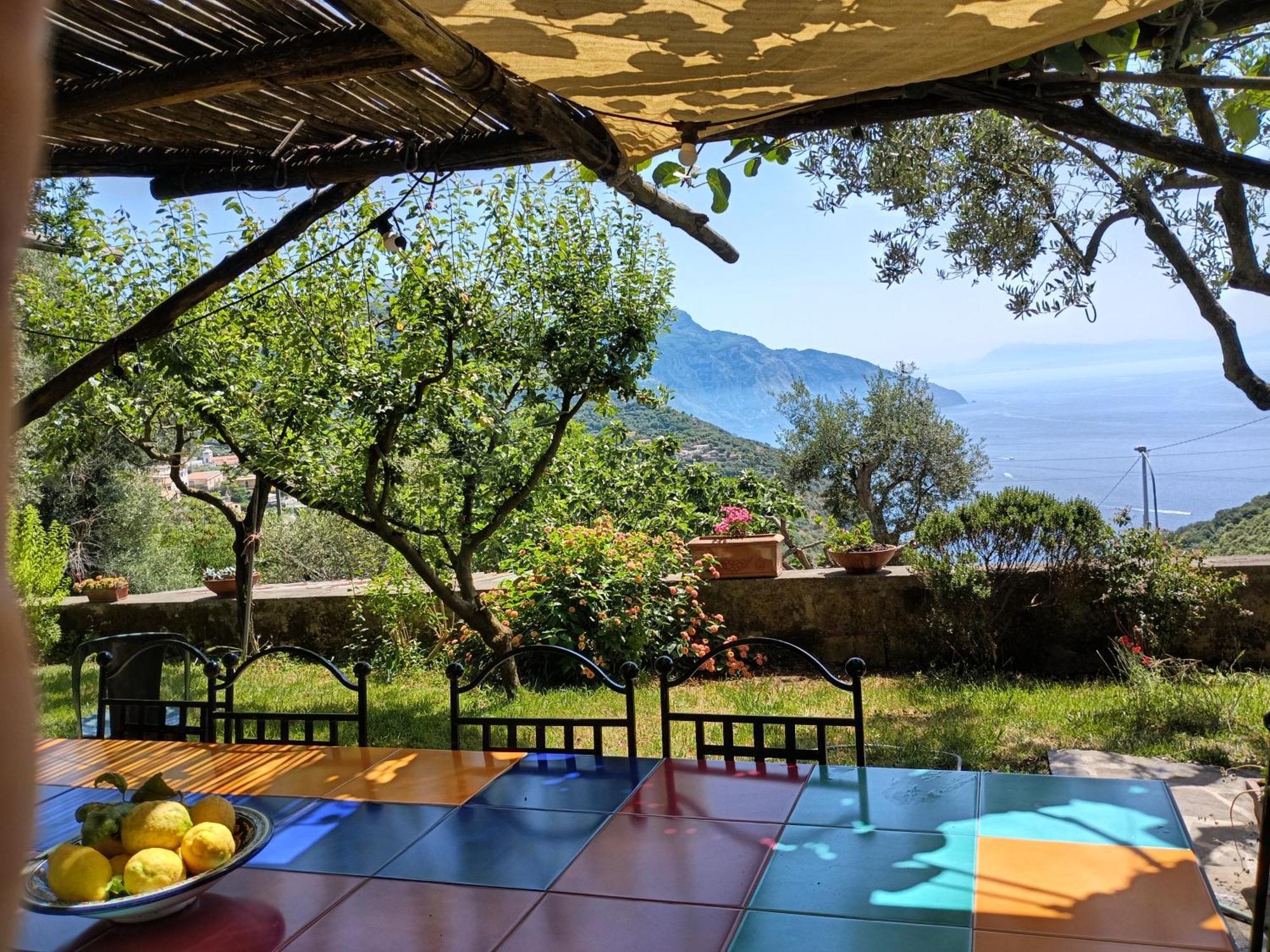 Amalfi Coast, Positano, Sorrento, Capri, Garden, Villa Carcara Colli di Fontanelle Exterior photo